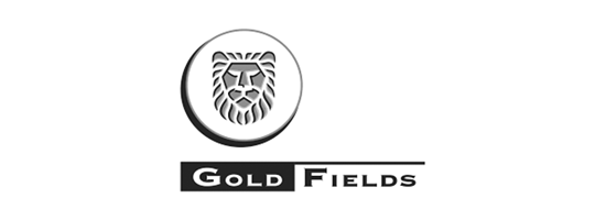 master-marq-web-logos-bw_0010_goldfields