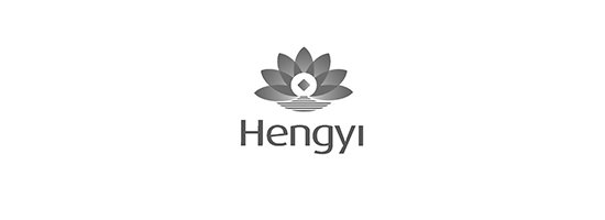 missing-web-logos_0002_hengyi-final